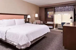 Hampton Inn Albuquerque-University/Midtown - Chambre