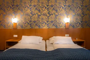 Hotel ATLANTA Darmstadt - Room