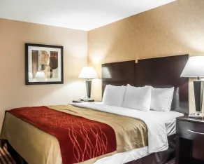 Quality Inn Dunkirk - Rum