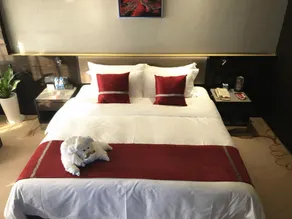 Jasmine International Hotel - Room