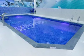 Alain Palace Hotel Ajman - Pool