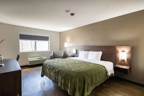 Quality Inn Carrollton - Room