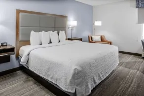 Hampton Inn Sarasota - I-75 Bee Ridge - Chambre