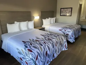 Red Roof Inn Jacksonville, AL  - Zimmer