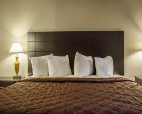 Rodeway Inn Near Ybor City - Casino - Room