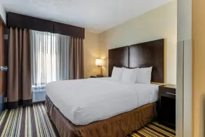 Comfort Inn & Suites Triadelphia - Wheeling - Chambre