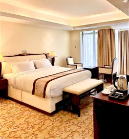 De Leopol Hotel - Room