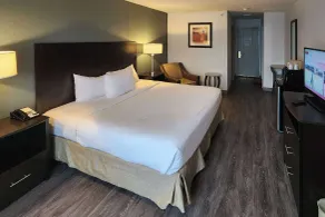 Clarion Inn - Chambre