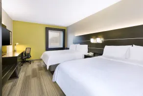Holiday Inn Express Detroit-Warren/General Motors Technology Center by IHG - Rum
