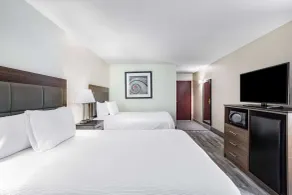 Ramada by Wyndham Hendersonville - Chambre