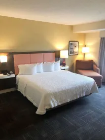 Hampton Inn & Suites Norfolk-Airport - Chambre