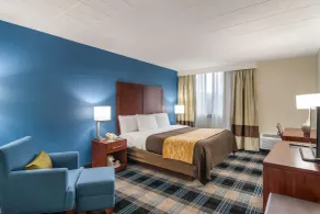 Comfort Inn & Suites Pittsburgh Fox Chapel - Chambre