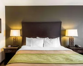 Comfort Inn & Suites Alva - Værelse