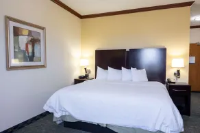 Hampton Inn Alice - Rom