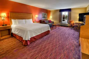 Hampton Inn Twin Falls Id - Chambre