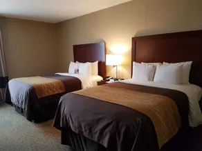 Comfort Inn Wethersfield - Hartford - Chambre