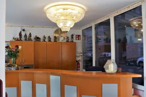 Hotel Neckarlux - Réception