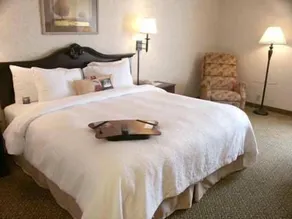 Hampton Inn Dublin - Chambre