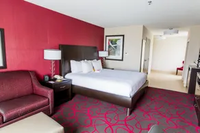 Hilton Garden Inn Columbus/Dublin - Room