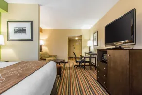 Comfort Suites Jackson I-40 - Chambre