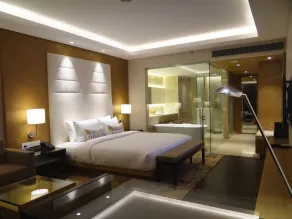 Feathers- A Radha Hotel, Chennai - Room