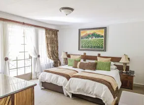 Afrique Boutique Hotel O.R. Tambo - Room