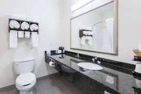 Clarion Pointe Madison-Huntsville - Salle de bain