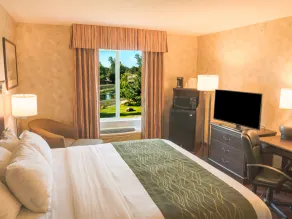 Comfort Inn & Suites Walla Walla - Chambre
