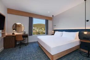 Hilton Garden Inn Albany - Room