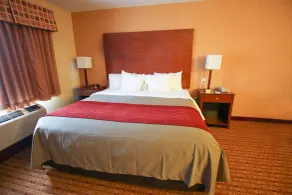 Comfort Inn & Suites Franklin East - Chambre