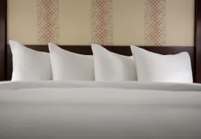 Pittsburgh Marriott North - Chambre