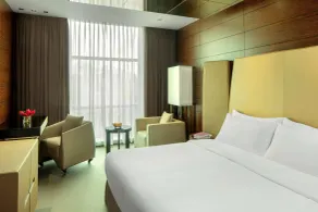 Radisson Blu Atria Bengaluru - View from room