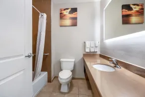 La Quinta by Wyndham Alvin - Salle de bain