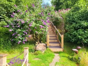 The Hideaway - Habitación