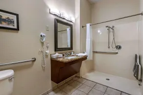 Comfort Inn & Suites St Louis-O'Fallon - Salle de bain