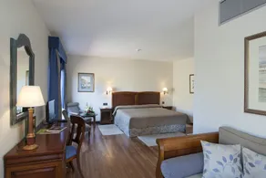 Parador de Las Cañadas del Teide - Chambre