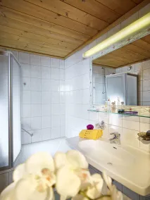 Hotel Traube - Badeværelse