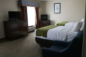 Comfort Suites Roswell North - Chambre