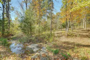 Hunters/floaters Welcome! Creekside Missouri Cabin - Interiør