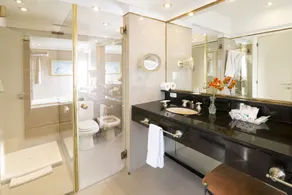 Claridge Hotel - Baño