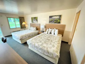 Alger Falls Motel - Rum