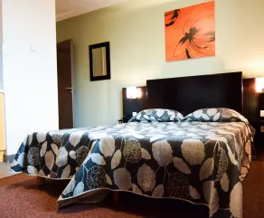 Résidence Residhotel Lamartine Tassin-la-demi-Lune - Chambre