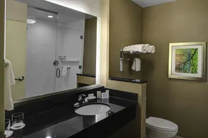 Fairfield Inn & Suites by Marriott Douglas - Rum