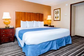 Metro Points Hotel - Chambre