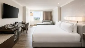 Hyatt Regency Merida - Room