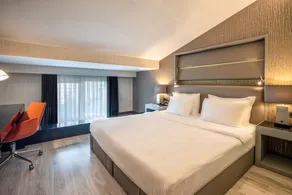 Park Dedeman Eskişehir - Room