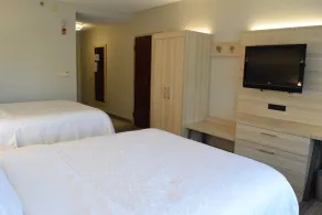 Holiday Inn Express & Suites Rochester Webster by IHG - Chambre