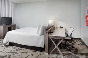 Hilton Garden Inn Dallas/Arlington South - Værelse