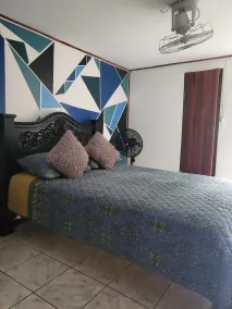 downtown montezuma hostal  - Chambre