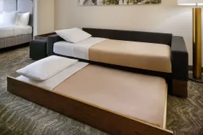 SpringHill Suites Raleigh-Durham Airport/Research Triangle Park - Chambre
